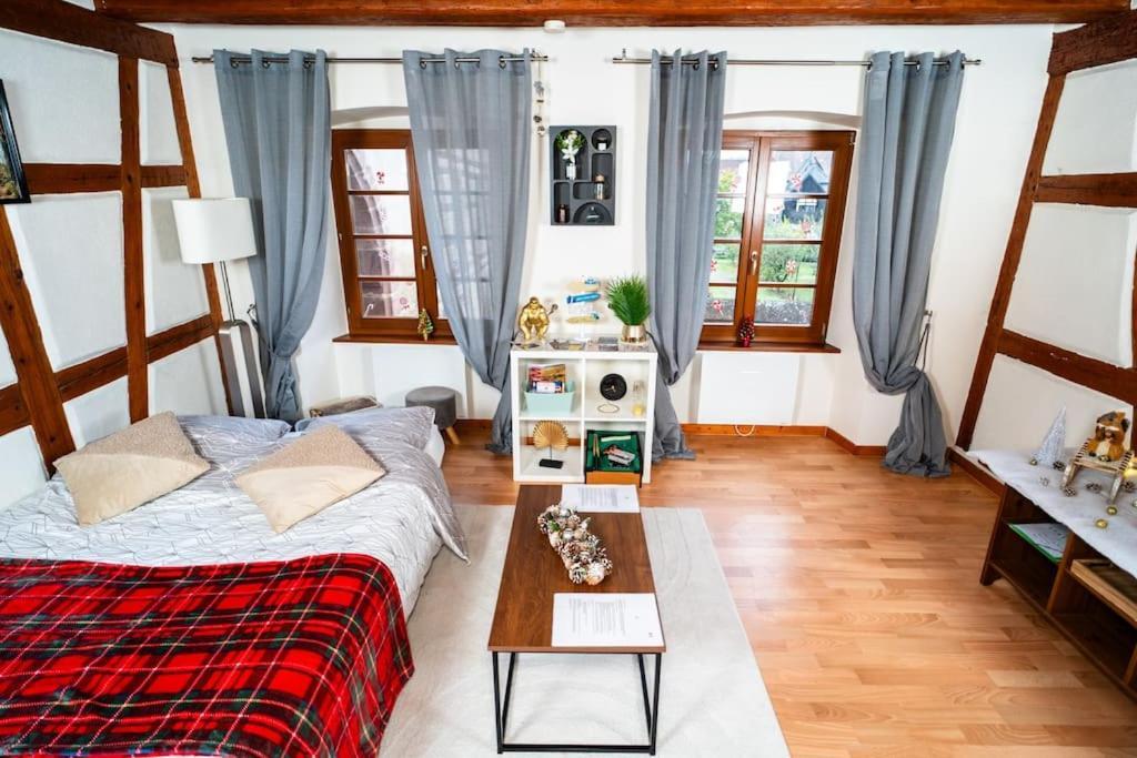 Apartmán Refuge Des Vignerons - Turckheim Exteriér fotografie