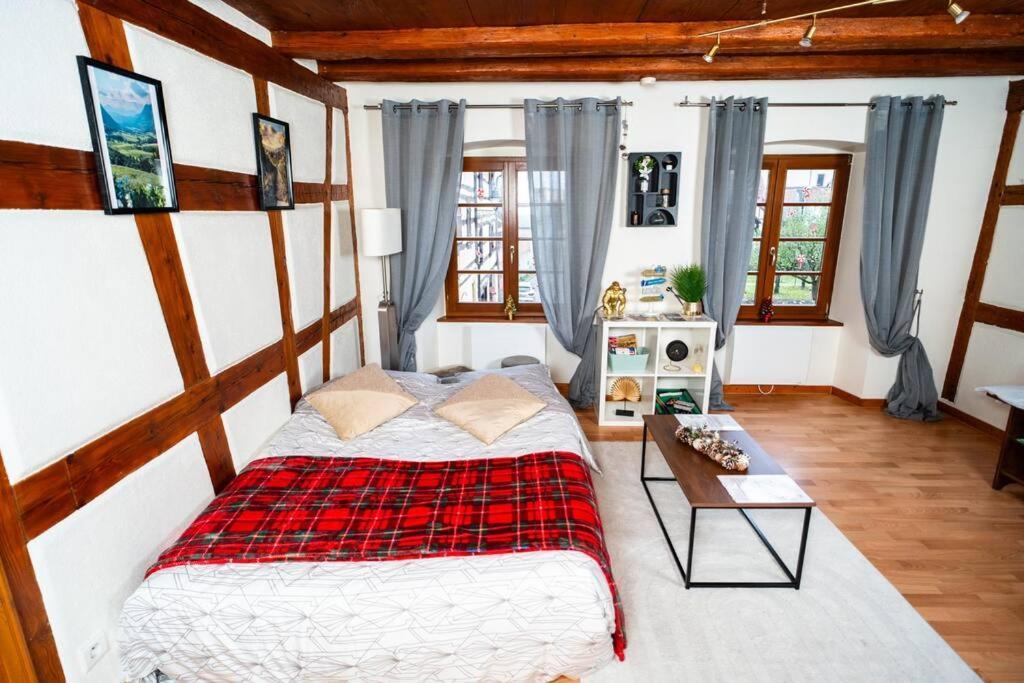 Apartmán Refuge Des Vignerons - Turckheim Exteriér fotografie