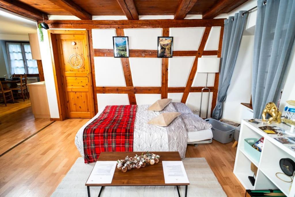Apartmán Refuge Des Vignerons - Turckheim Exteriér fotografie
