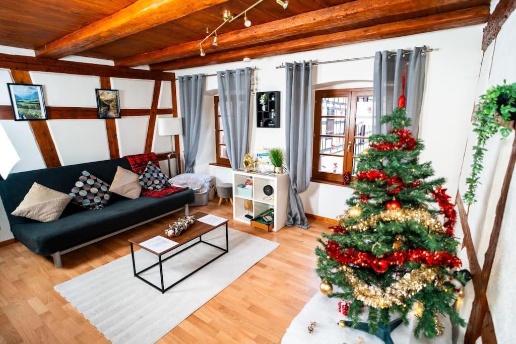 Apartmán Refuge Des Vignerons - Turckheim Exteriér fotografie