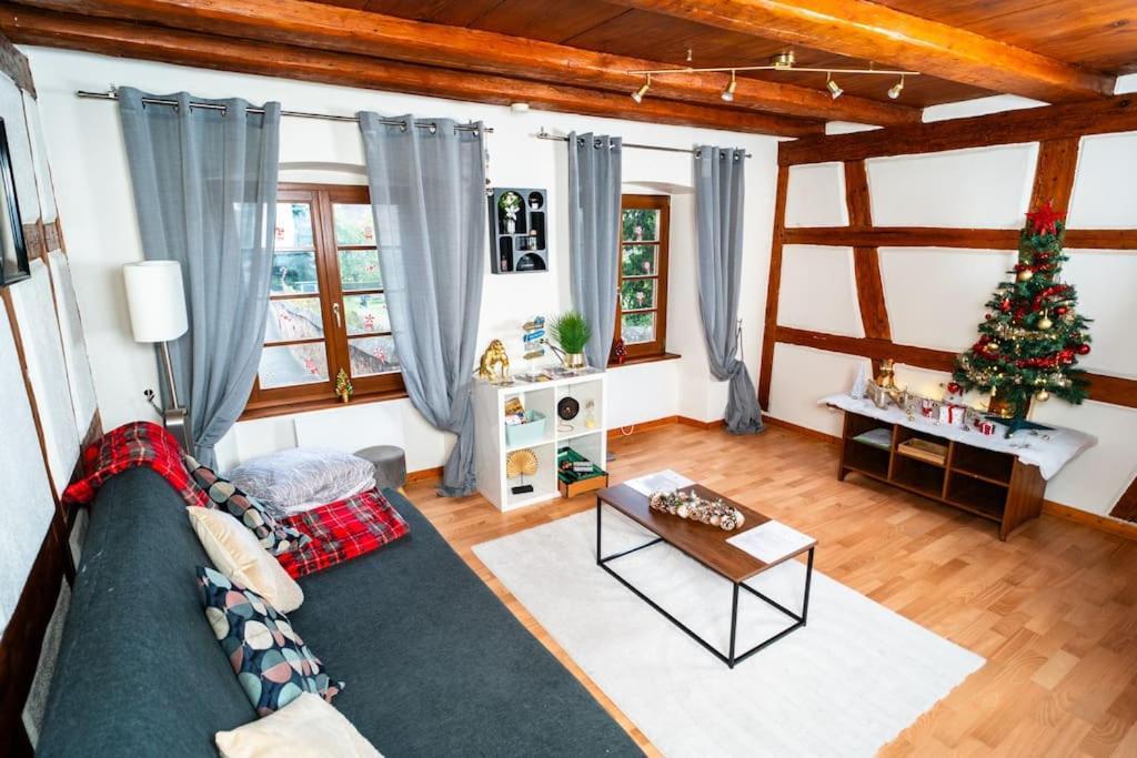 Apartmán Refuge Des Vignerons - Turckheim Exteriér fotografie